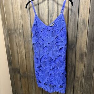 Express Royal Blue Lace Top